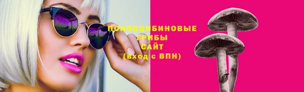 кокс Арсеньев