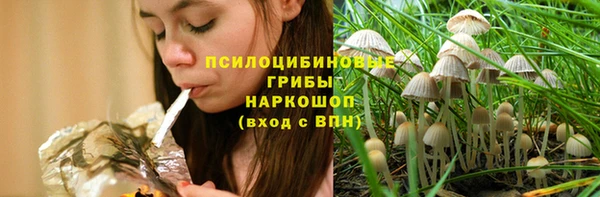 ПСИЛОЦИБИНОВЫЕ ГРИБЫ Аркадак