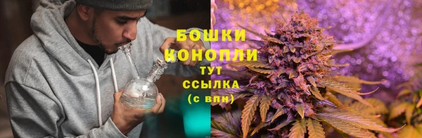 ПСИЛОЦИБИНОВЫЕ ГРИБЫ Аркадак