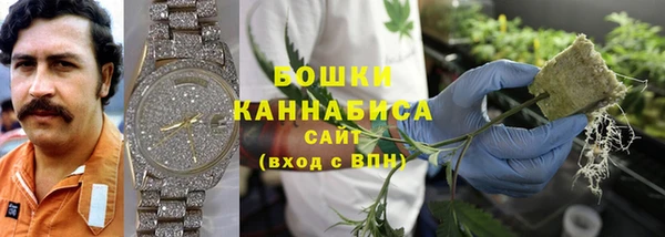 ПСИЛОЦИБИНОВЫЕ ГРИБЫ Аркадак