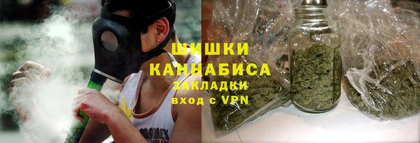 ПСИЛОЦИБИНОВЫЕ ГРИБЫ Аркадак