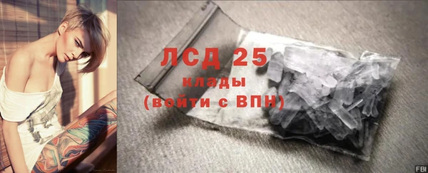прущие грибы Армянск