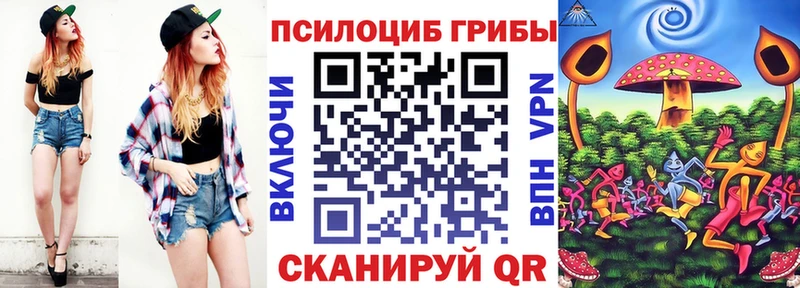 купить   Дорогобуж  Псилоцибиновые грибы GOLDEN TEACHER 